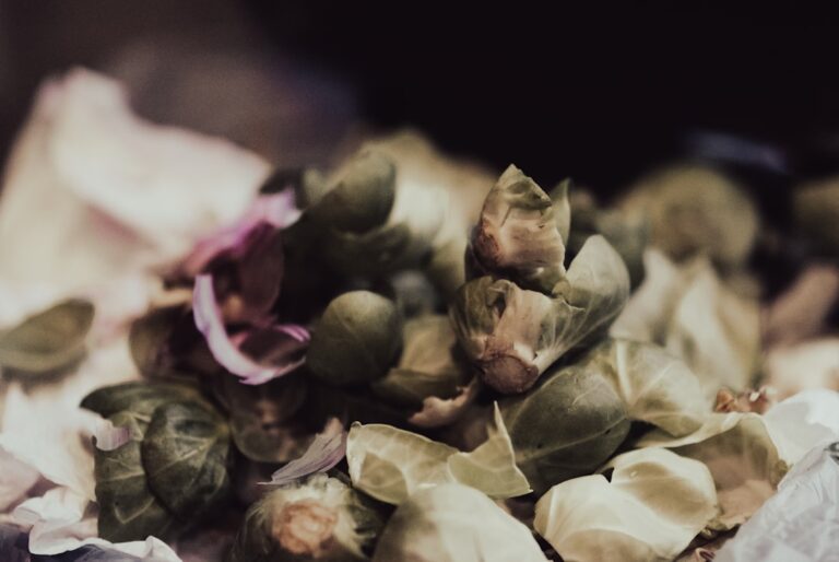 Trucuri pentru a transforma resturile alimentare în mese creative