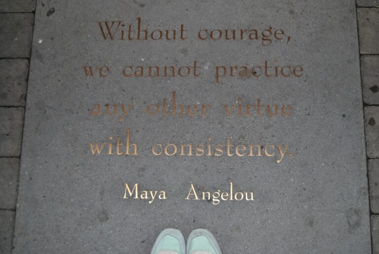 Citate despre curaj și perseverență care îți vor da forța de a înfrunta orice provocare