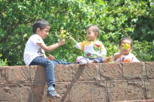 Photo "The importance of STEM education in the development of children and adolescents"