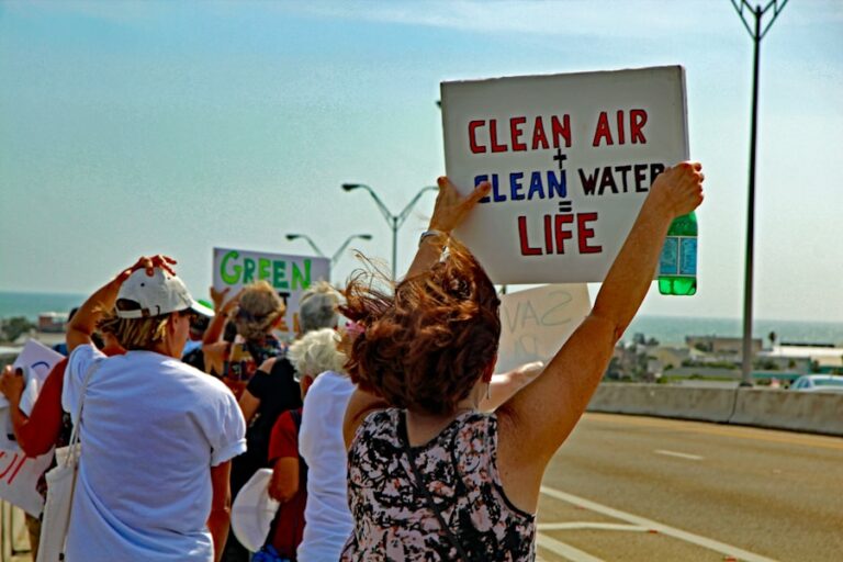 Cum sa adopti un stil de viata sustenabil si sa faci alegeri mai bune pentru mediu