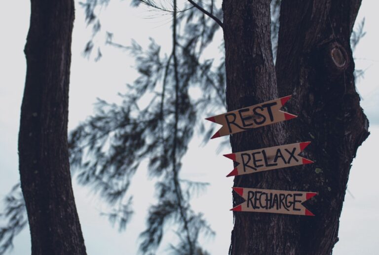 Cum sa imbini momentele de relaxare cu activitati de invatare continua pentru o viata plina de sens