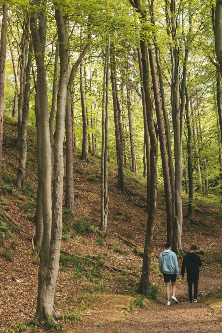 Cum sa obtii o stare de bine prin conectarea cu natura si folosirea resurselor naturale