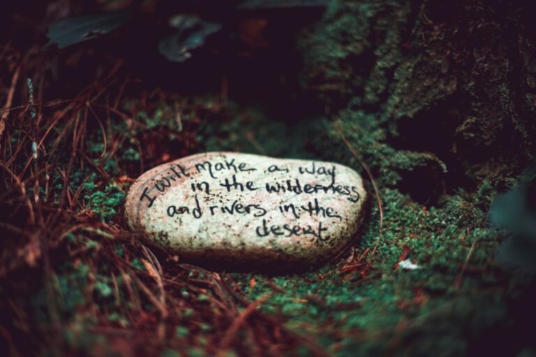 Citate care te vor ajuta să te ridici atunci când viața te doboară și să îți regăsești puterea interioară