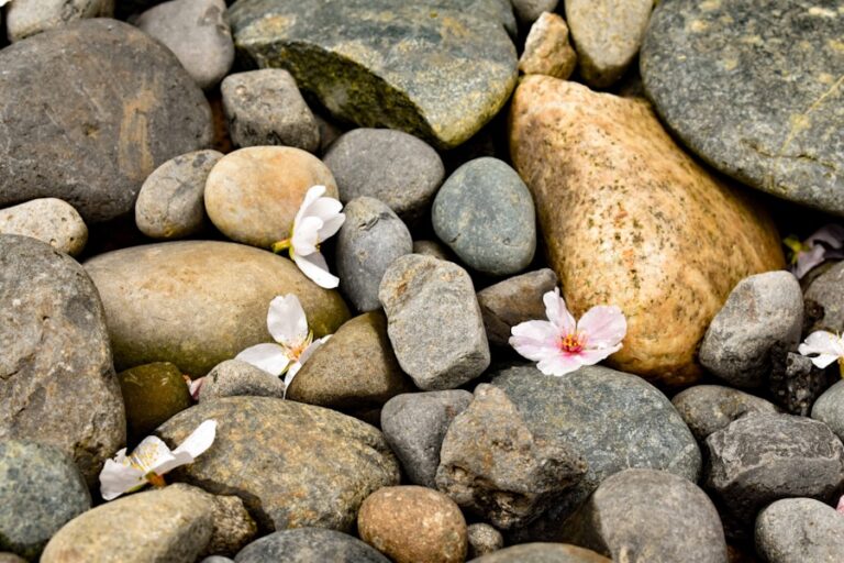 Citate despre spiritualitate și cum să îți îmbogățești viața cu sens și profunditate