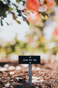 Photo "Quotes about the joy of learning and how each day can be an opportunity to become better"