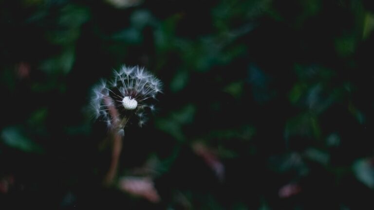 Cum să interpretezi visele în care pierzi dinții și ce legătura au cu încrederea de sine