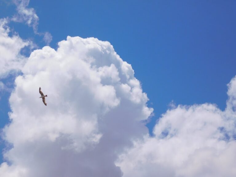 Visele despre căderi sau alunecări și ce semnificație au legătura cu pierderea controlului