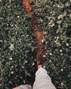 Photo "Dreams in which you walk through nature and what message they convey about your desire to reconnect with yourself"