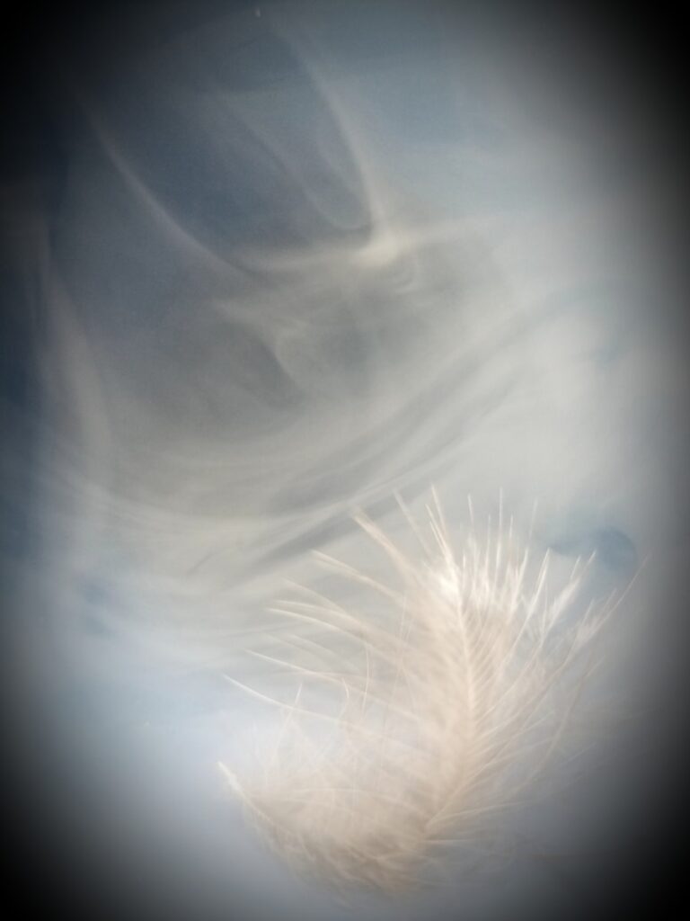 Vise despre vânt și ce simbolizează acestea legat de schimbare și direcția vieții tale