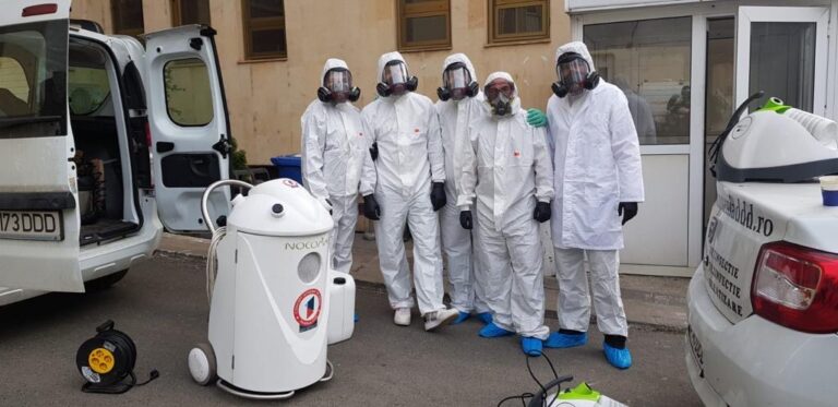 Cum afectează insectele dăunătoare calitatea vieții și care sunt pașii pentru o dezinsecție eficientă acasă