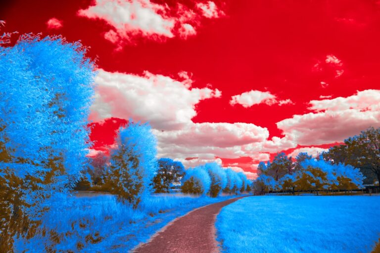 Ce inseamna cand visezi cutite