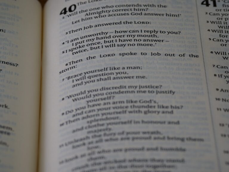 Cum sa inveti engleza rapid acasa