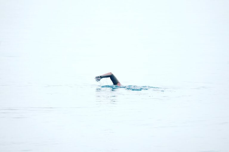 Citate despre perseverență și succes