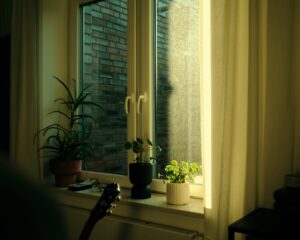 Photo apartment plants