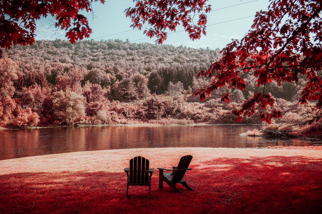 Photo relaxation