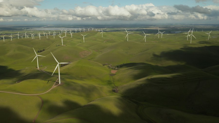 Photo sustainability